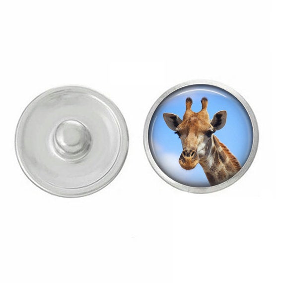 Animal - Giraffe Themed Snaps - Assorted Snaps - Coordinates with All Say It In Snap